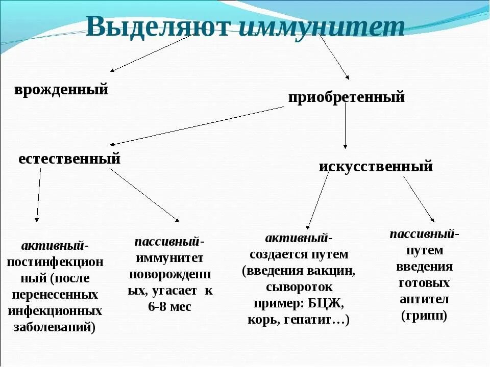 Активный иммунитет схема. Схема классификации видов иммунитета. Иммунитет естественный и искусственный схема. Определение понятия «иммунитет». Виды (формы) иммунитета.. Естественный иммунитет особенности