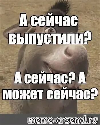 А сейчас не можешь прийти. Осел а сейчас. а сейчас а теперь осел. сейчас мем. осел из шрека а сейчас.