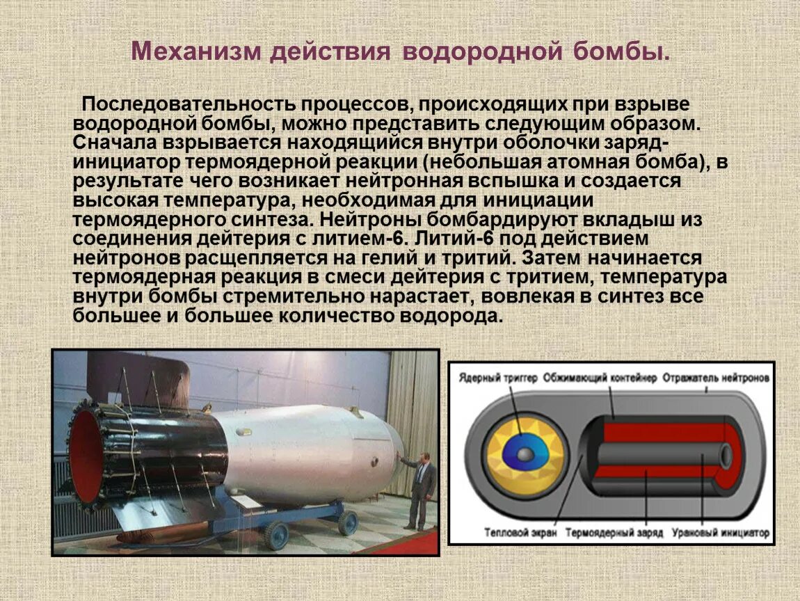 Из чего состоит ядерный. Из чего состоит ядерный