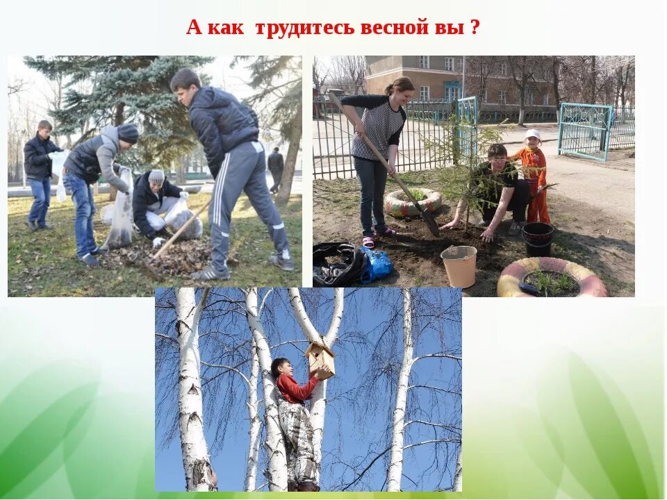 Как можно трудиться