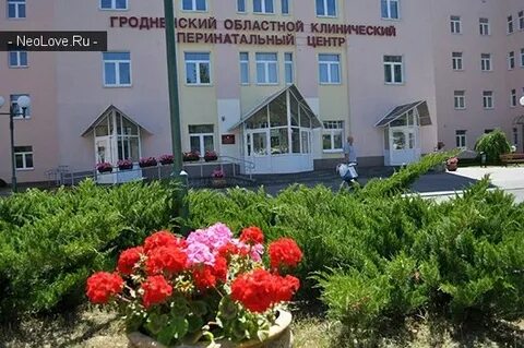 Перинатальный гродно