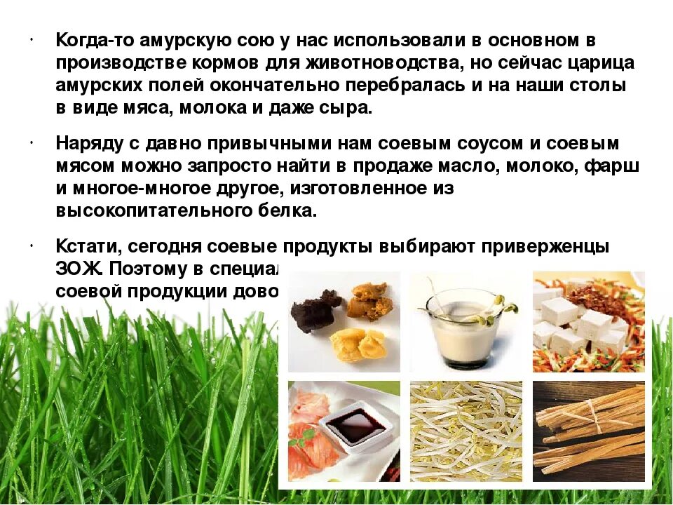 В целях сои что это. Продукты из сои. что содержит сою. соя польза. соя польза и вред.