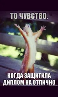С защитой диплома на отлично