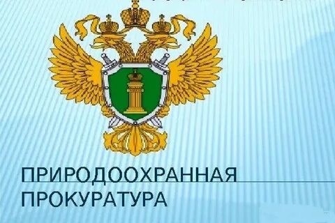 Природоохранная деятельность органов прокуратуры
