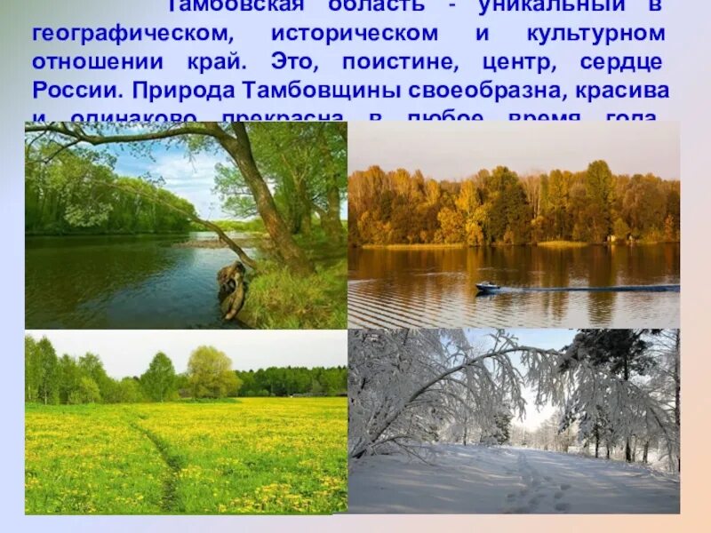 Проект разнообразие природы тамбовской области Проект животный мир родного края