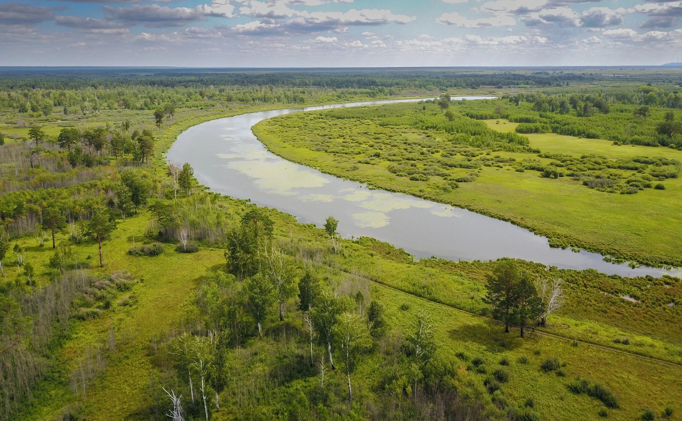 Природный парк регионального значения. Усть Чумышский заказник Алтайского края. Муромский заказник. Кокоринский заказник. Заповедники Первомайского района.