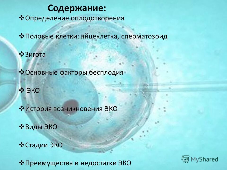Отличие эко от эко. Виды эко. экстракорпоральное оплодотворение презентация. экстракорпорального оплодотворения (эко). эко это искусственное оплодотворение.