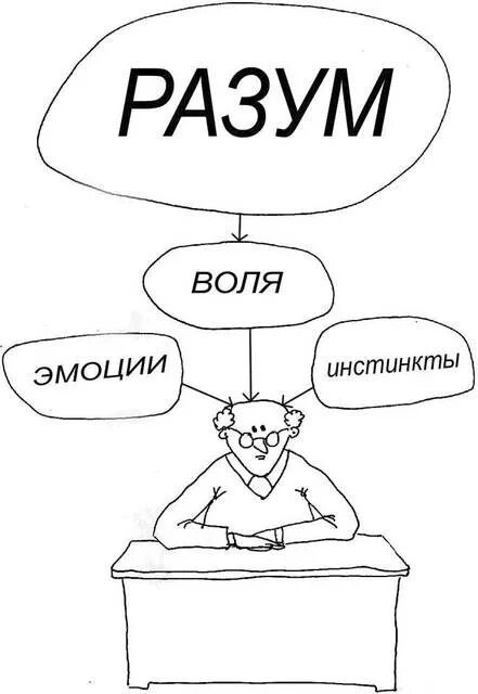 Воля и разум с судьбой попробуй. Разум рулит настроением схемы. разум решать задачи.