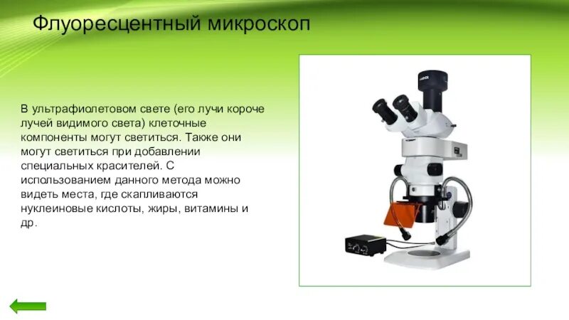 Какие методы используются для изучения клетки. Методы изучения клетки. методы изучения клетки таблица. 1. методы изучения клетки. методы изучения клетки кратко.