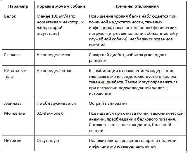 Цвет мочи у собаки. Нормальная моча собаки. Зеленая моча у собаки.