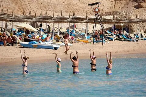 Reef oasis отзывы