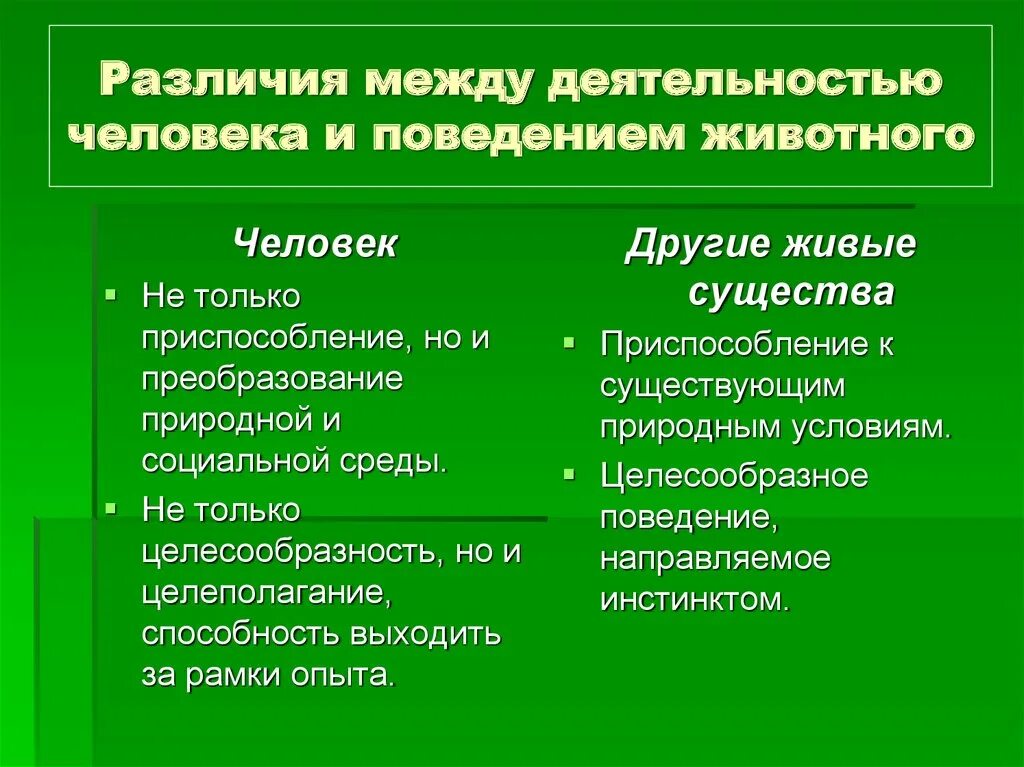 Различия социального и природного. Сходства и различия человека и животных. Сходства и различия между человеком и животным таблица. Различие между деятельностью человека и животного. Поведение человека и животных.