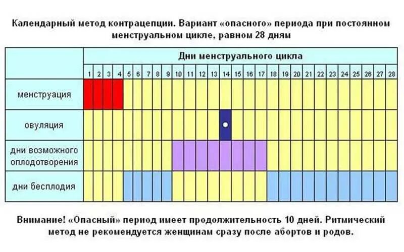 Когда начинается цикл месячных. Как считать цикл месячных. календарный метод предохранения. возможность забеременеть по дням цикла. безопасные дни.