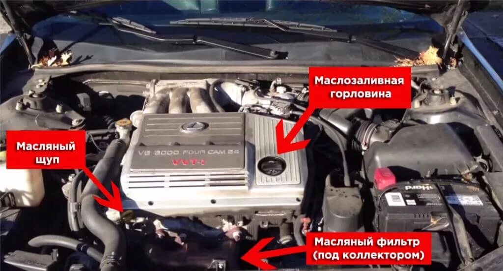 Checking the level and adding oil to the engine Audi A6 C6 2004 - 2011