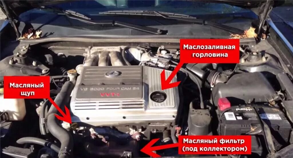 Масляный фильтр Лексус rx330. Фильтр масляный rx300. Масляный фильтр Лексус rx300 2. Масляный фильтр Лексус РХ 300.