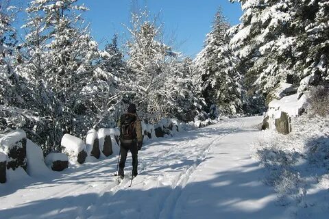 Winter me