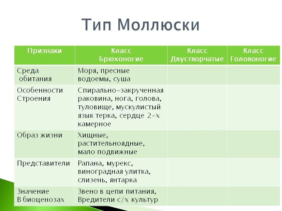 Характеристика брюхоногих. Среда обитания брюхоногих двустворчатых головоногих. Класс брюхоногие моллюски особенности строения. Среда обитания двустворчатых моллюсков таблица 7. Класс двустворчатые моллюски среда обитания.