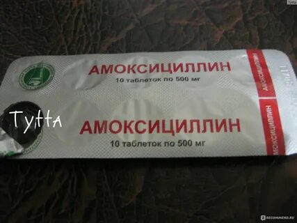Антибиотики коту амоксициллин