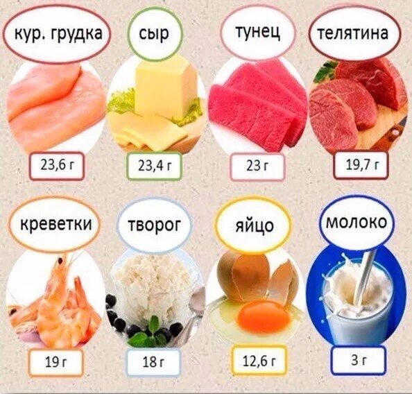 Где больше всего белка? DAOS_FITNESS. ЗОЖ по науке Дзен