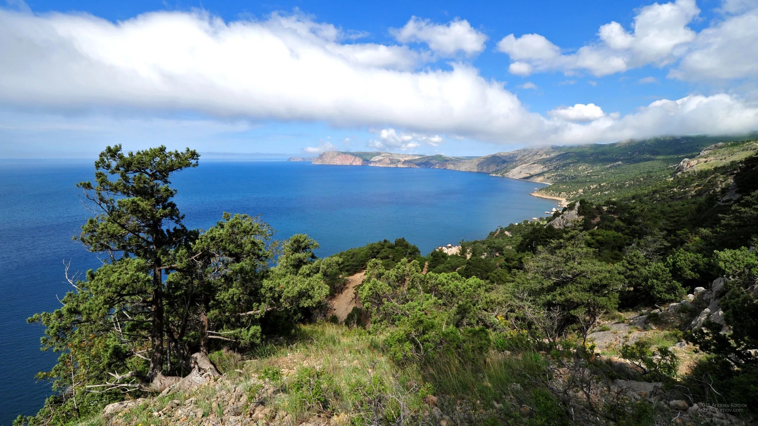 Береговая линия крыма. Крымский полуостров Ялта. Черное море горы Ялта. Полуостров Гамова.