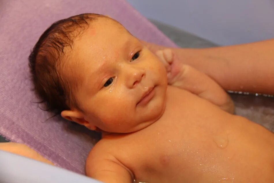 Температура воды для купания новорожденного. Купание малыша в ромашковой ванночке. Купание малыша в ванночке с ромашкой. Купать новорожденного ребенка ромашкой. Купание новорожденного ребенка в ромашке.