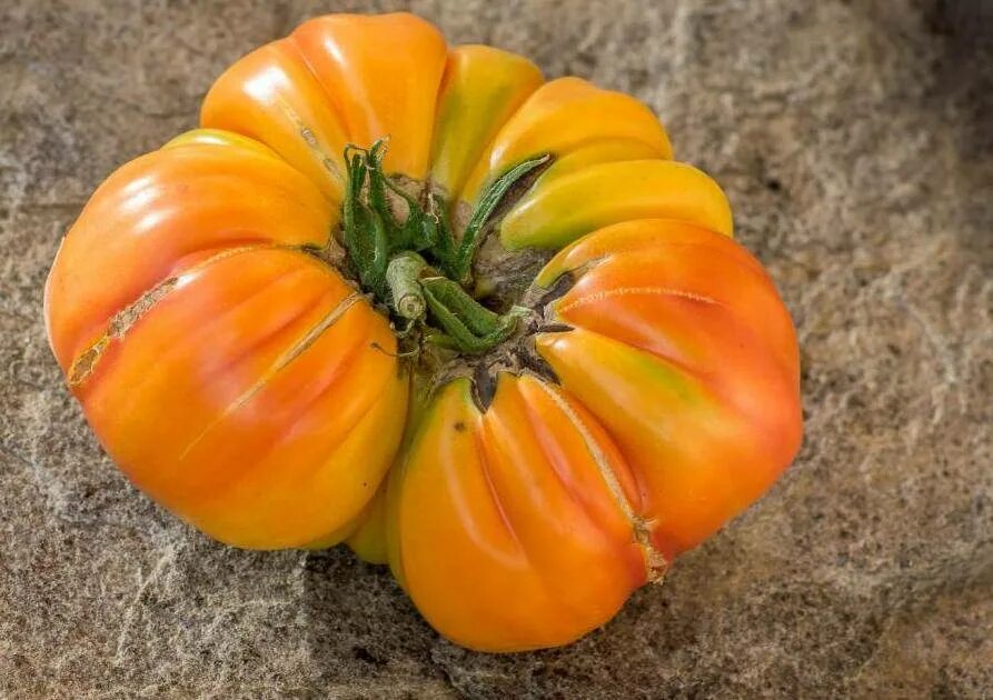 Томат сорт медовый салют. Томат лонг кипер. Томат медовый пудовичок. Семена томат медовый салют. Томат медовый салют.