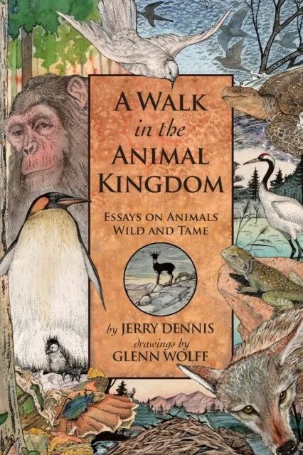 Wild animals essay. Animal Kingdom книга. Animal Kingdom.