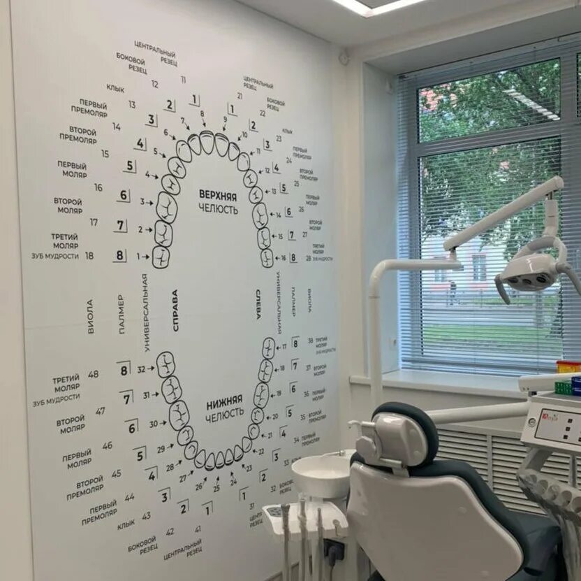 стоматологи великий новгород отзывы. 5 звезд стоматология великий новгород. богдашева наталья игоревна стоматолог. кочетова 2 к 2 стоматология великий новгород. великий новгород богдашева наталья.