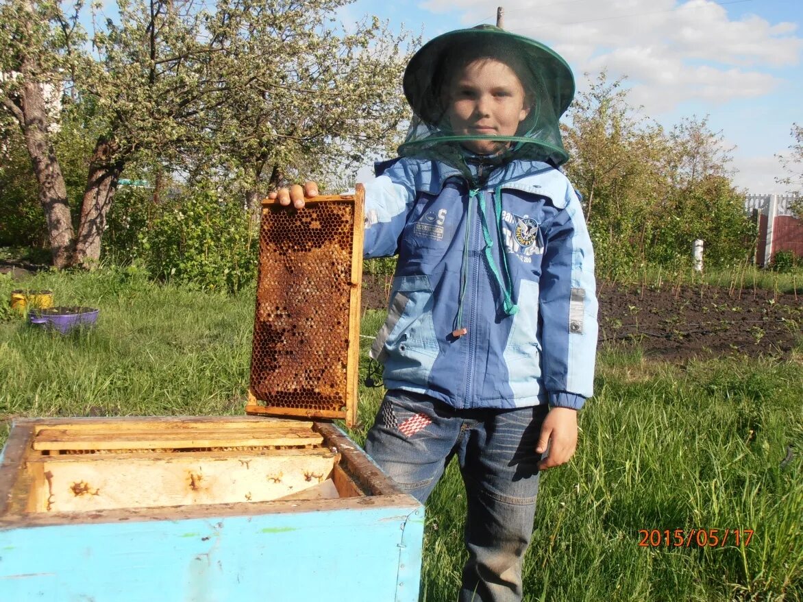 Пчела я пчеловод дети. Rasa - пчеловод (премьера 2019) премьера клипа. Пчела я пчеловод дети. Пасека 100 ульев. Пчеловодство для начинающих.