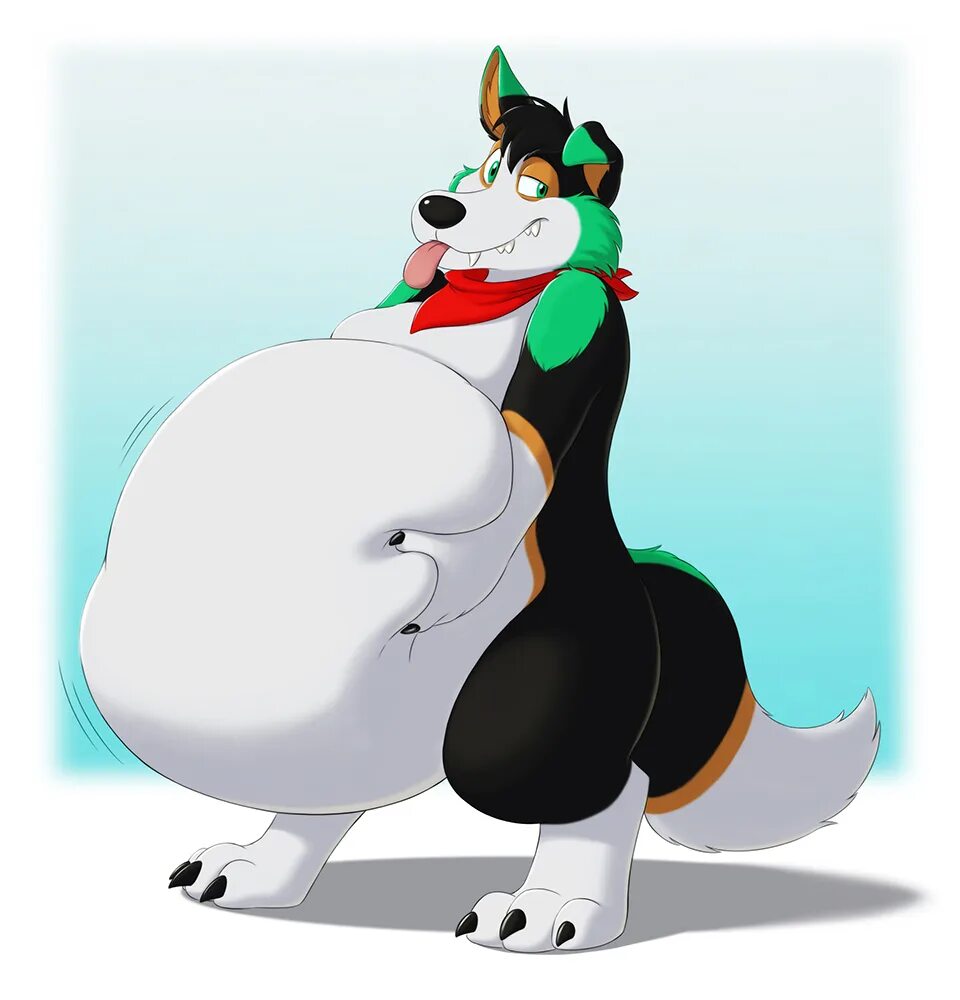 Фурри биг белли. Фурри belly. Fury belly inflation. Фурри belly. Лиса belly inflation.