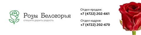 Хенд хантер воронеж вакансии