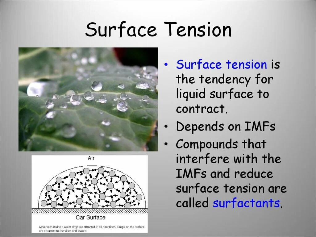 Surface definition. Surface tension. surface tension of water. the surface tension force. surface tension группа.