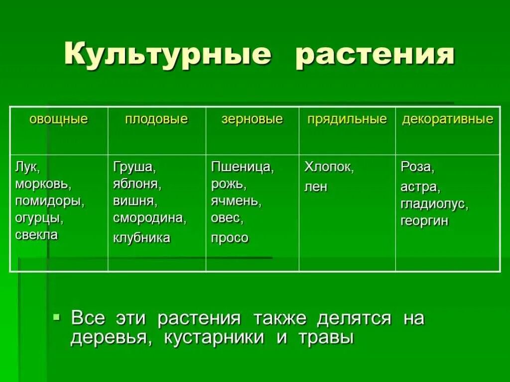 3 видовых названия