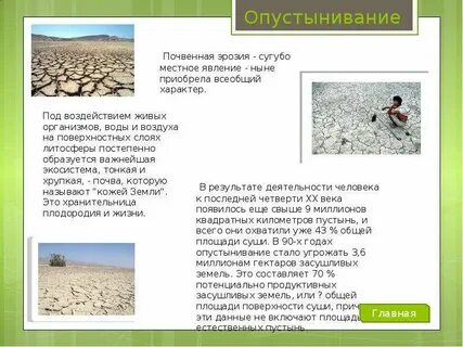 Арктическое опустынивание это