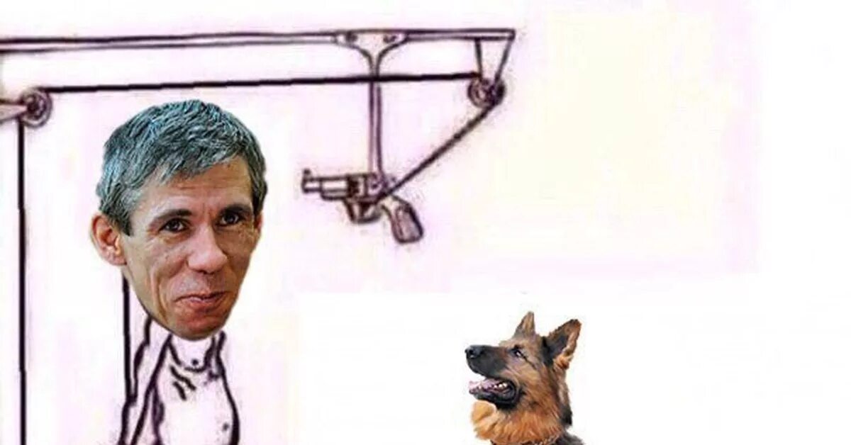 Панини собака