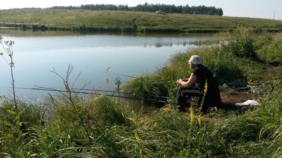 Рыбаков прогноз. Сентябрь или октябрь клев хищника. Река сура рыбалка. Камаев ядрин. Календарь рыболова.