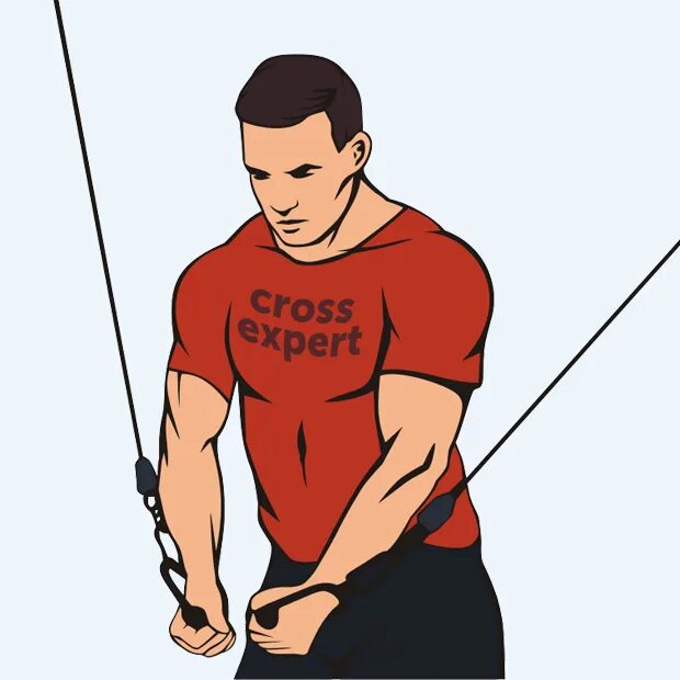 Упражнение ножницы с гантелями. Cross expert. Cross expert. Cross expert кто это. Подтягивания широким хватом техника.
