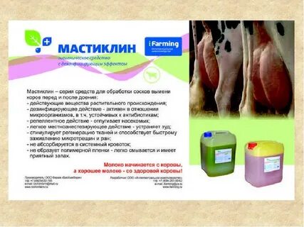 Коров мастит лечение без антибиотиков
