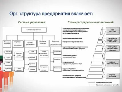 Организационный общий проект
