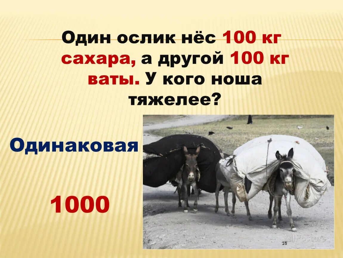 Девять осликов. Ослик несет. Один ослик нёс 10 кг сахара, а другой – 10 кг ваты. Слабый ишак не может перевезти три тонны. 100 Килограмм ваты.