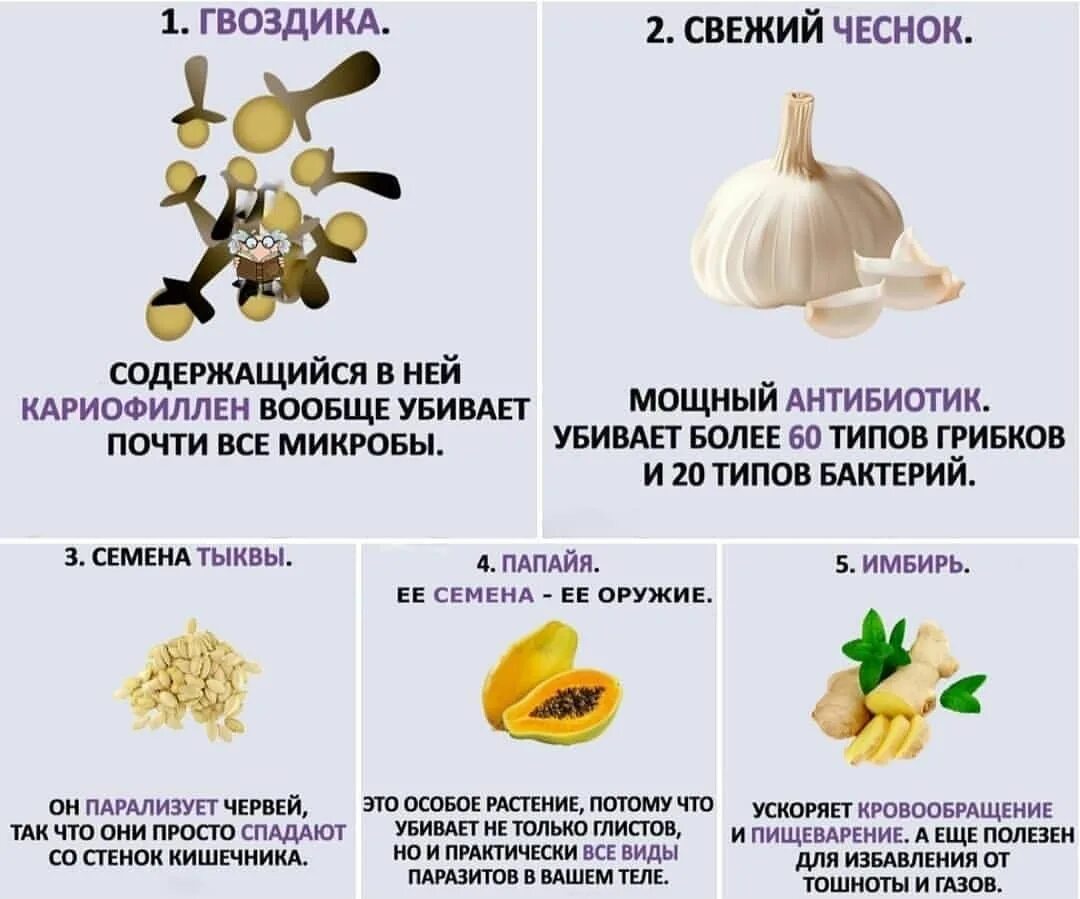Чеснок убивает бактерии