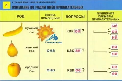 Род прилагательных 2 класс карточки
