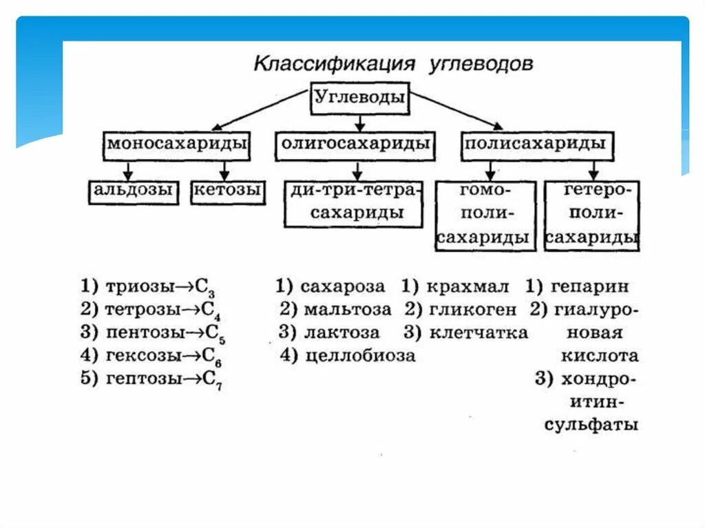 Классификация углеводов 10 класс. Классификация углеводов схема. классификация углеводов химия. углеводы классификация и функции. органическая химия классификация углеводов.
