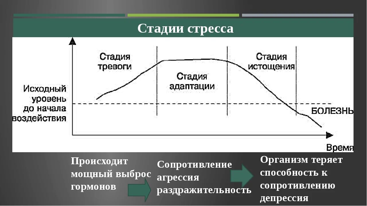 Реагировать на изменения внутренней и. Стадии стресса физиология. Стадии формирования стресса. Схема развития стресса. Этапы протекания стресса.