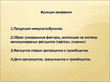 Функции селезенки