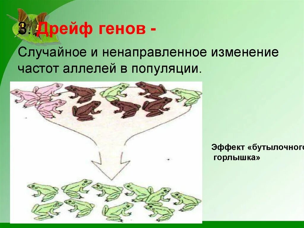 Причина случайных изменений генов. Дрейф генов бутылочное горлышко. Иллюстрация последствий дрейфа генов:. Дрейф генов фактор эволюции. Дрейф генов примеры.