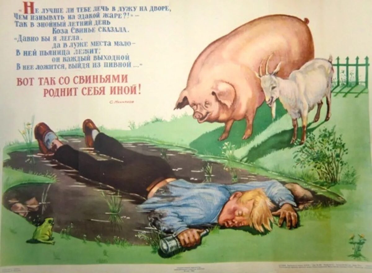 Как не быть свиньей