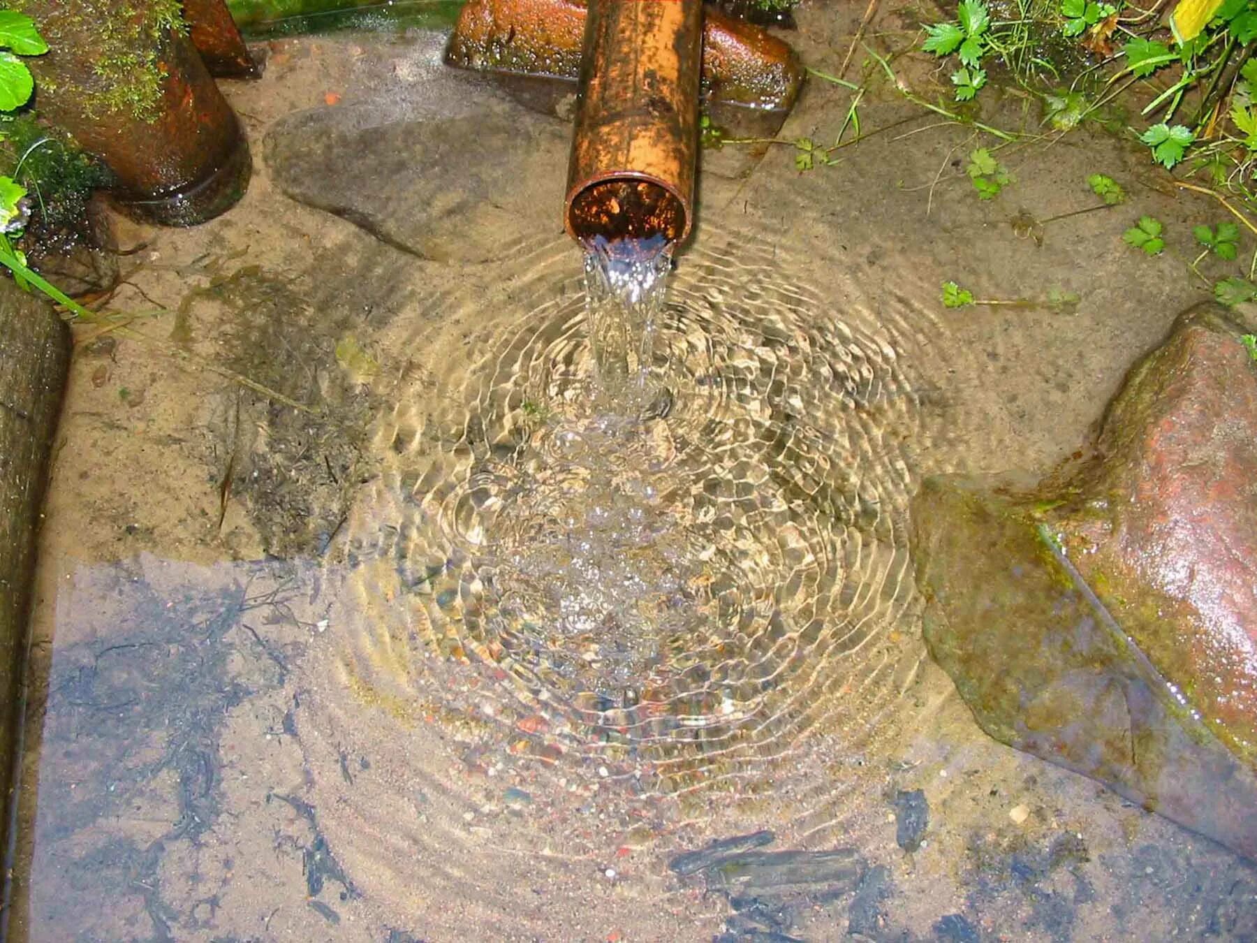 Источник воды. Родниковая вода. Питьевые подземные воды. Родниковые воды на участке.