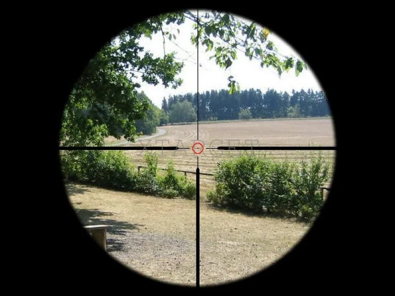 Fn f2000 прицельная сетка. Ружье с прицелом. Оптический прицел мосина пу сетка. Оптический прицел для ружья 12 калибра. Снайперская винтовка с оптическим прицелом.