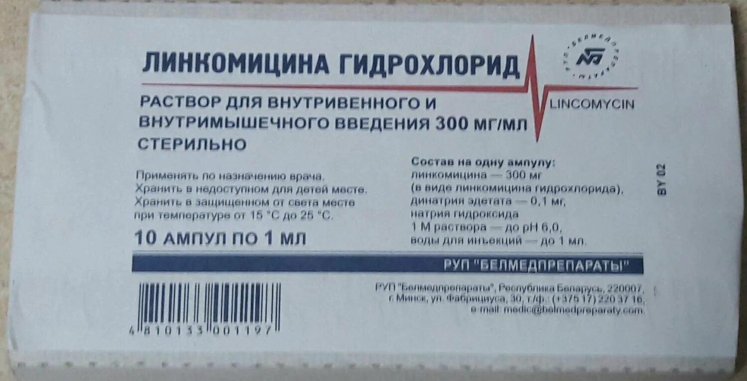 Линкомицин гидрохлорид 300 мг/мл. Линкомицин Белмедпрепараты ампулы. Линкомицина гидрохлорид р-р д/и 30% амп 1мл n10. Антибиотик линкомицин гидрохлорид. Цена уколов линкомицин